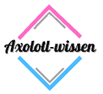 axolotl-wissen